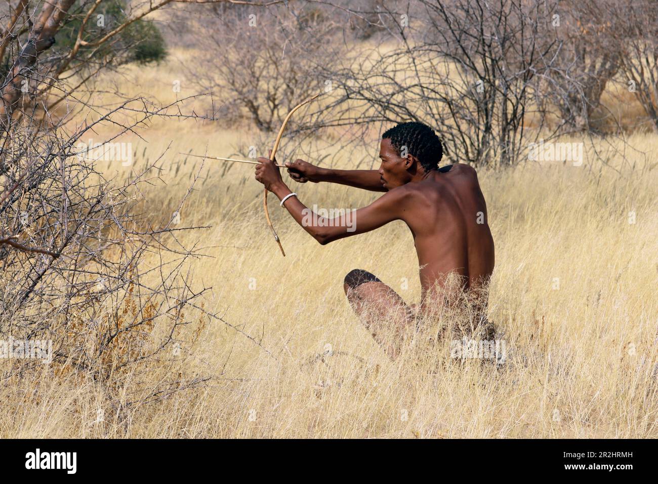 Namibia; Regione di Erongo; Namibia Centrale; Museo di San Living; caccia ai Boscimani con arco e freccia Foto Stock
