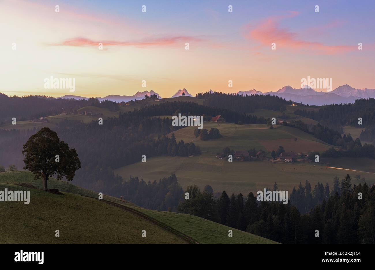 Verdi colline e foreste nella nebbia autunnale all'alba, Sumiswald, Emmental, Cantone di Berna, Svizzera, Europa Foto Stock