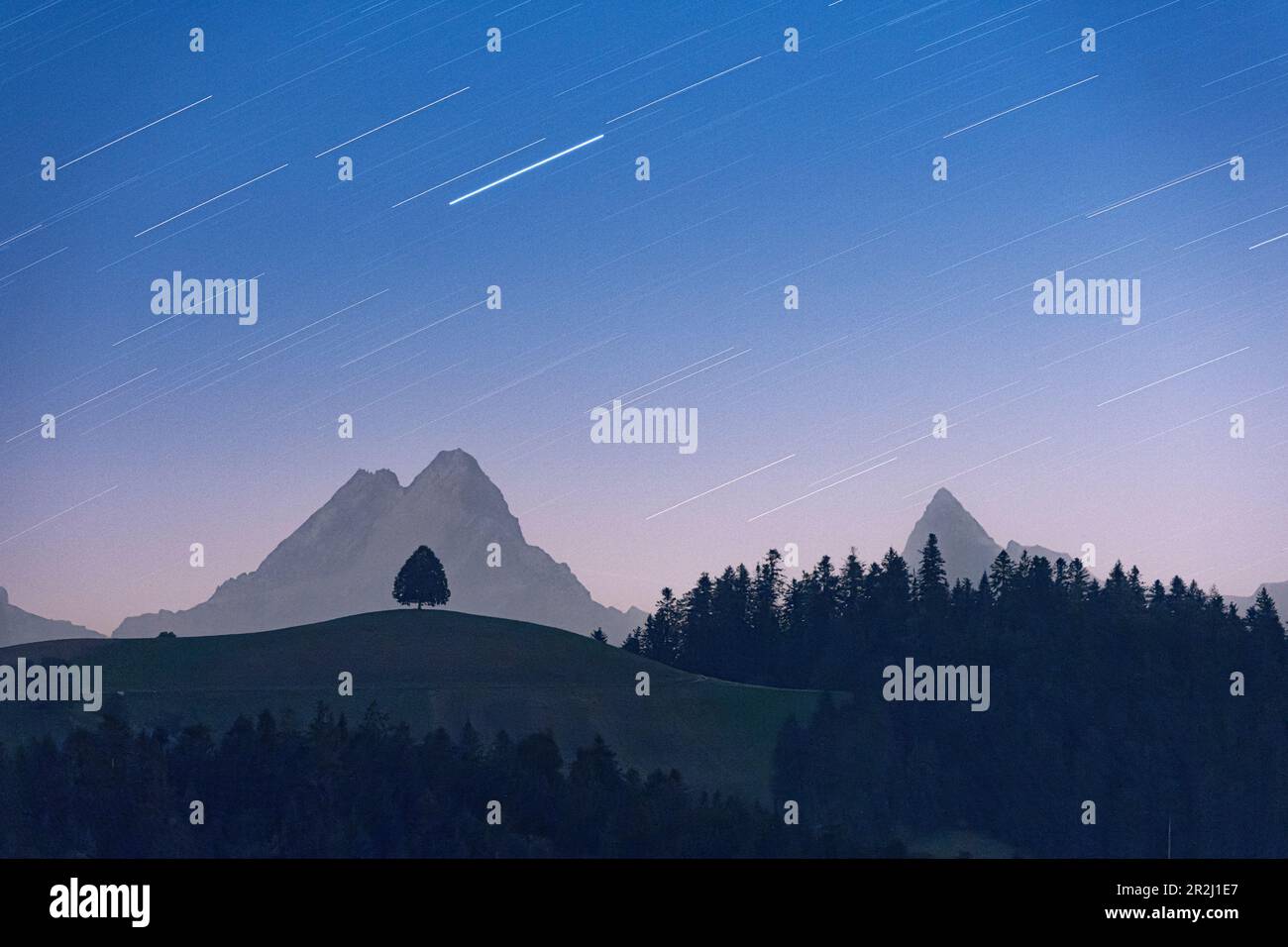 Sentiero stellare nel cielo notturno su un albero solico in collina e sulla cima dello Schreckhorn, Sumiswald, Emmental, Cantone di Berna, Svizzera, Europa Foto Stock