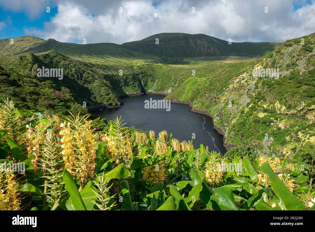 Lagoa Comprida lago vulcanico circondato da vegetazione e fiori di giglio zenzero in una giornata di sole, Flores isola, Azzorre isole, Portogallo, Oceano Atlantico Foto Stock