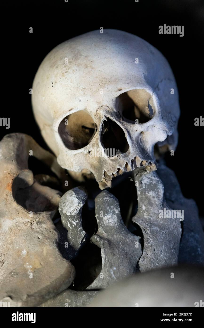 Cranio umano in mostra, interno dell'Ossario di Sedlec, patrimonio dell'umanità dell'UNESCO, Kutna Hora, Repubblica Ceca (Czechia), Europa Foto Stock