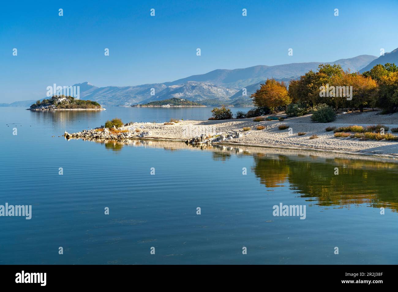 Spiaggia del lago Skadar nel villaggio di Donji Murici, Montenegro, Europa Foto Stock
