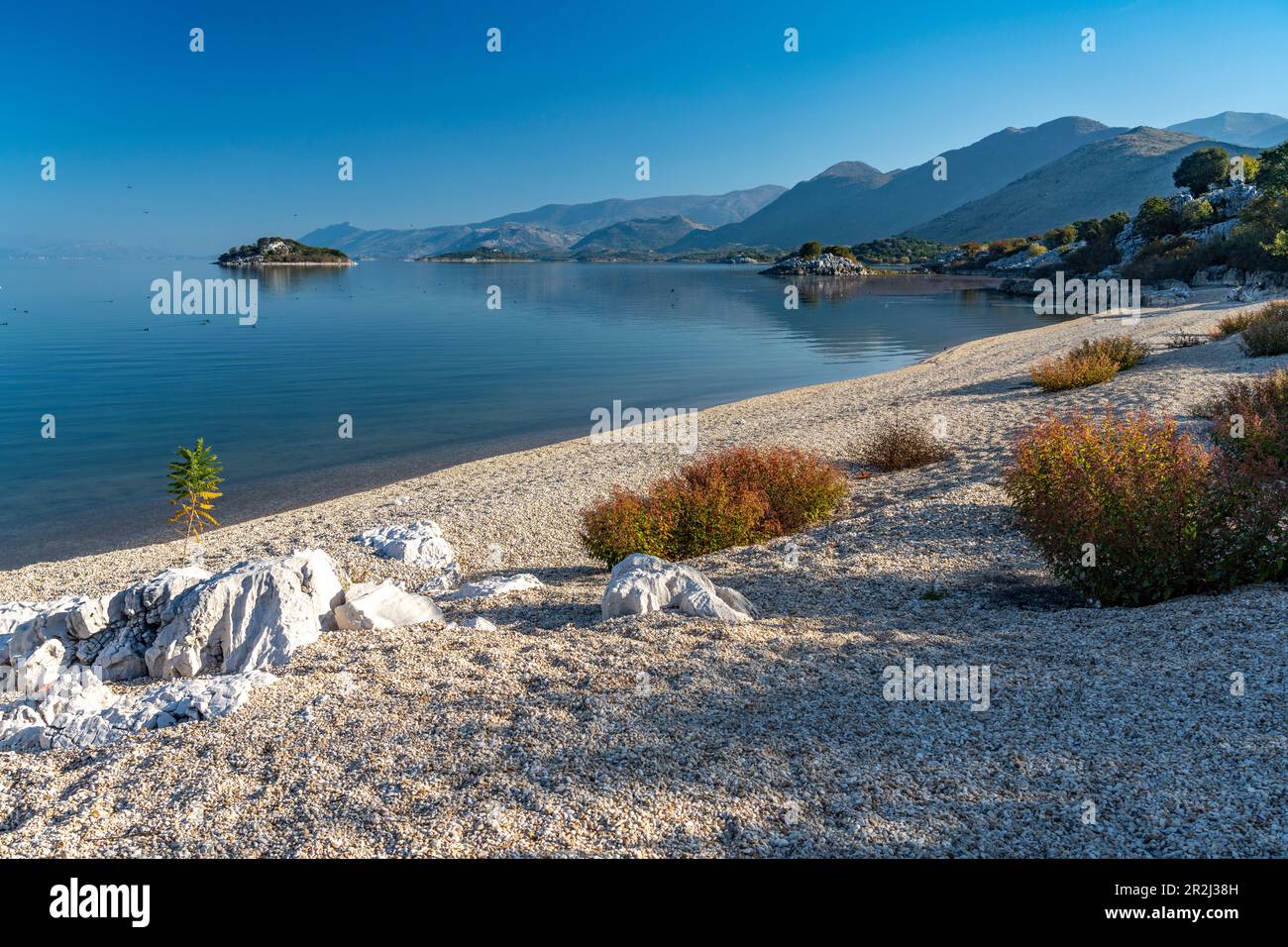 Spiaggia del lago Skadar nel villaggio di Donji Murici, Montenegro, Europa Foto Stock
