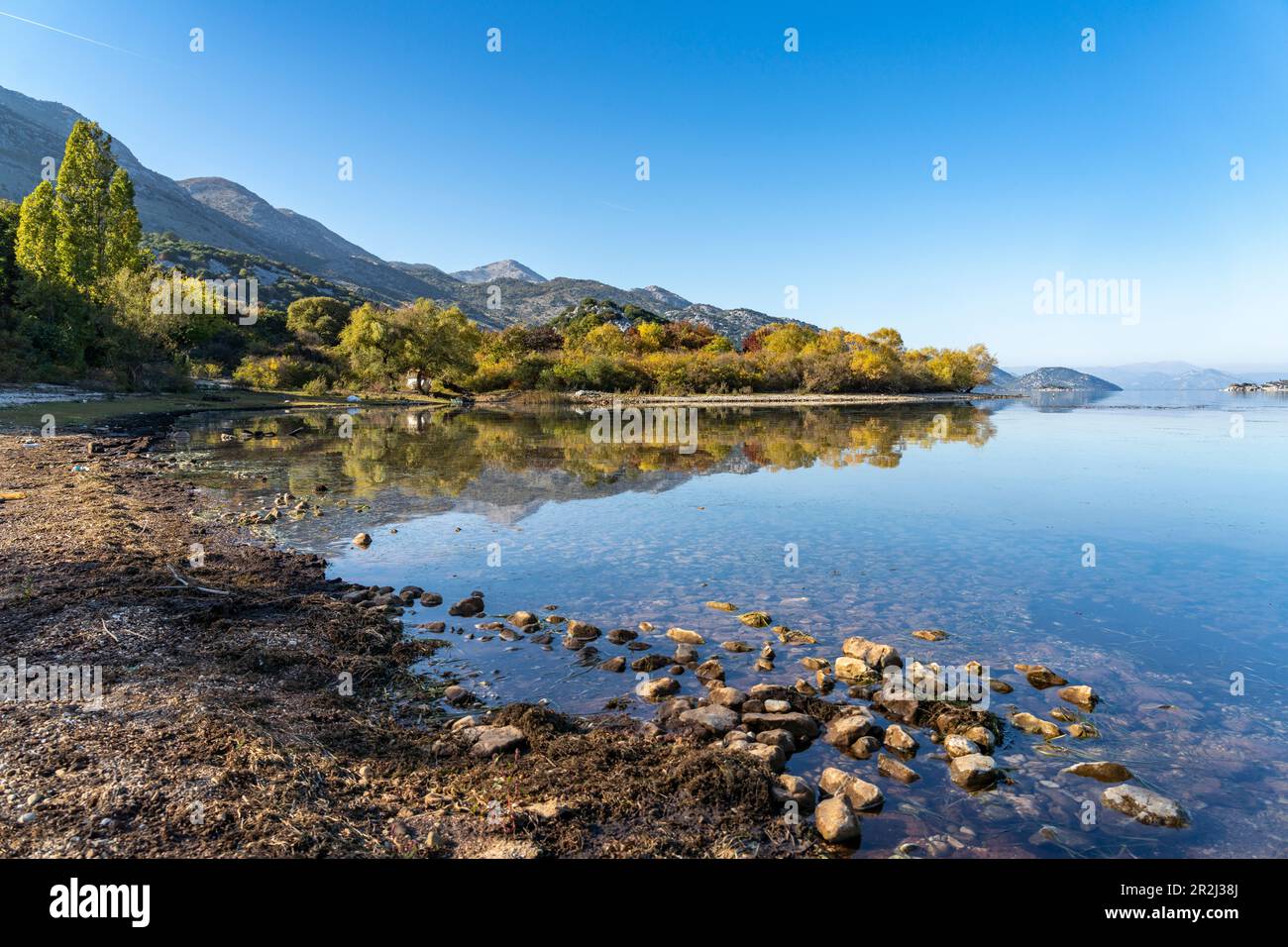 Lago Skadar vicino Donji Murici villaggio, Montenegro, Europa Foto Stock