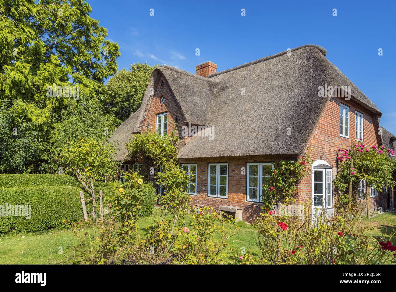 Casa Frisiana a Oldsum, Foehr Island, North Frisian Islands, Schleswig-Holstein, Germania Foto Stock