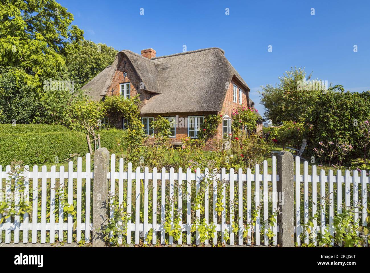 Casa Frisiana a Oldsum, Foehr Island, North Frisian Islands, Schleswig-Holstein, Germania Foto Stock