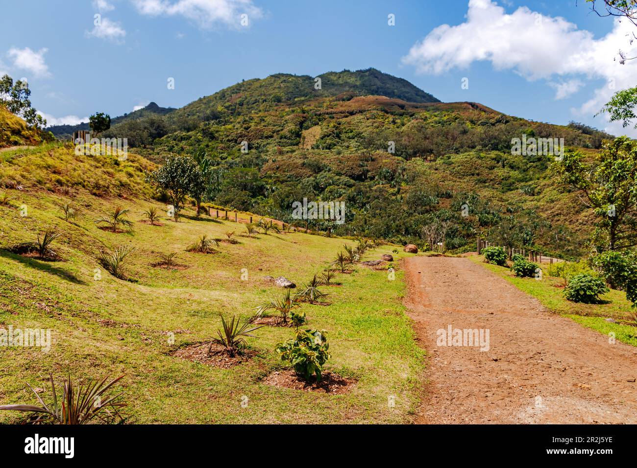 Lussureggiante paesaggio verde nel Parco Naturale Vallée Des Couleurs, nel sud dell'isola di Mauritius, Oceano Indiano Foto Stock