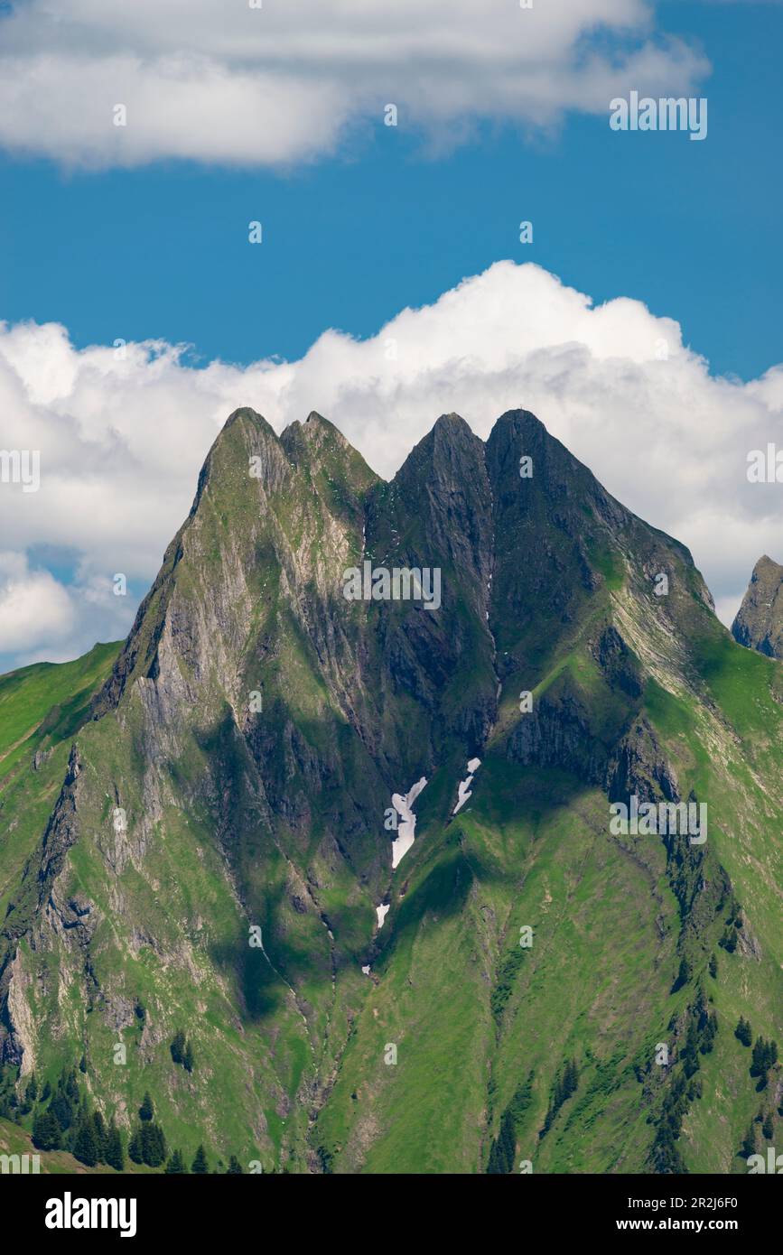 Vista dal Wildengundkopf, 2238m fino al Höfats 2259m, Allgäu Alpi, Allgäu, Baviera, Germania, Europa Foto Stock