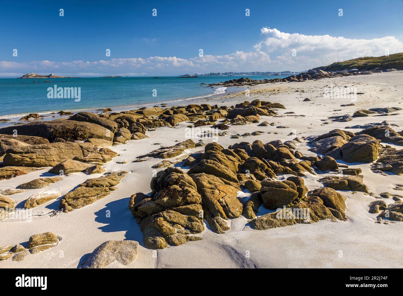 Greve Blanche sull'Ile de Batz, Finistere, Bretagna, Francia Foto Stock