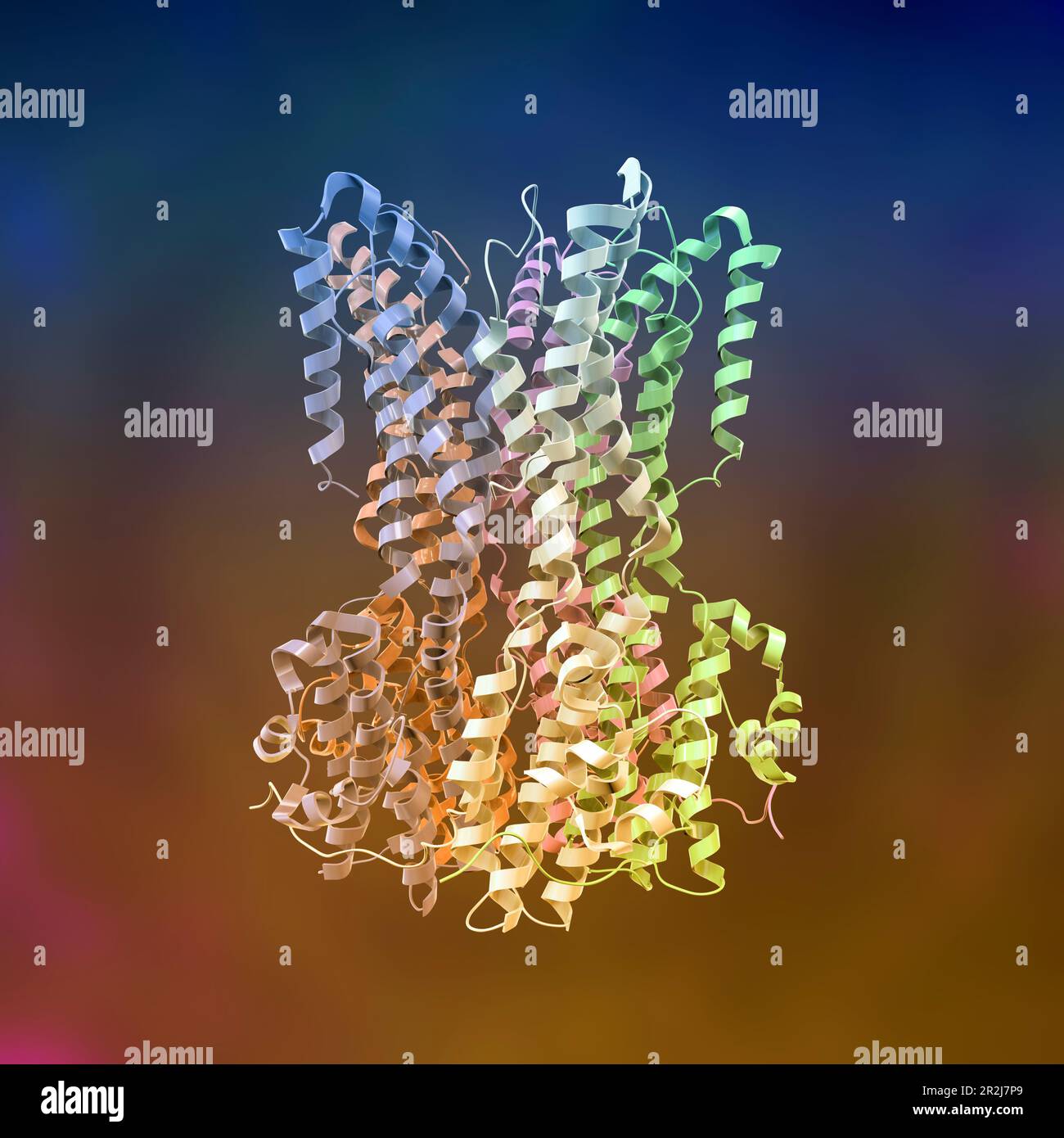 Molecola di proteina Bestrophin-1, illustrazione Foto Stock