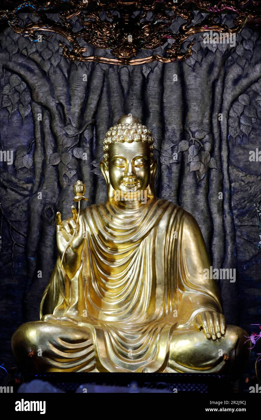 Chua ho Quoc Pagoda, Siddhartha Gautama (il Buddha Shakyamuni) seduto in meditazione posa sotto l'albero di Bodhi, Phu Quoc, Vietnam, Indocina Foto Stock