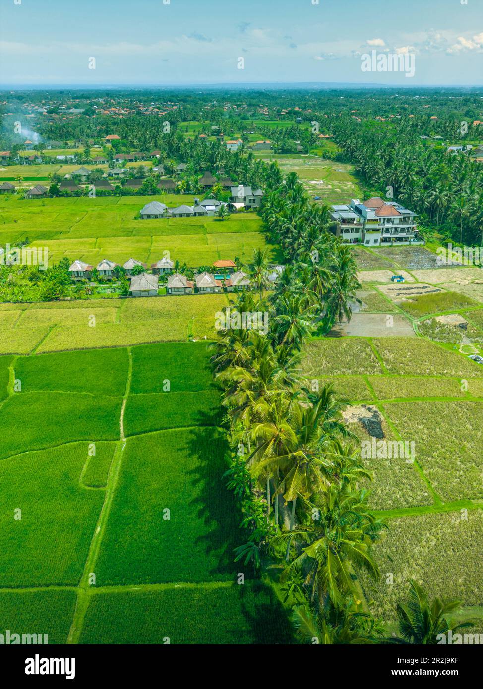 Vista aerea del campo di riso di Kajeng, della reggenza di Gianyar, di Bali, dell'Indonesia, dell'Asia sudorientale, Asia Foto Stock