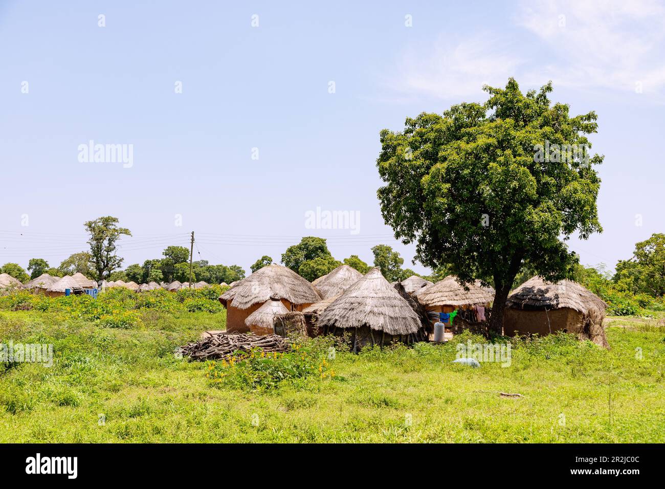 Janikura, tradizionale villaggio di capanne rotondo dei Gonja sul  Damongo-Sawla-Raod nel distretto centrale di Gonja nella regione  settentrionale del Ghana settentrionale Foto stock - Alamy