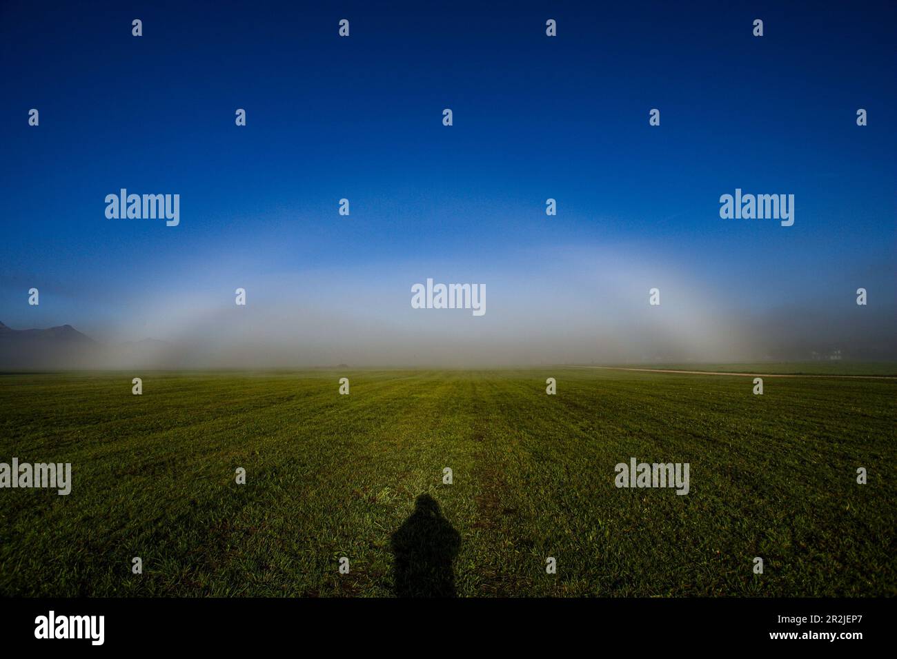 Prua nebbia, arcobaleno bianco davanti ad un muro di nebbia in un campo aperto Foto Stock