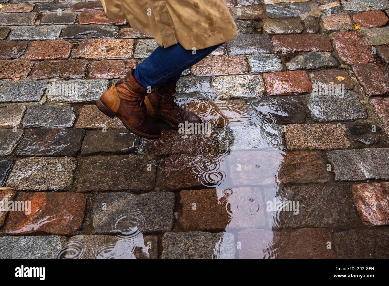 Donna che cammina attraverso pozze su ciottoli sotto la pioggia, Tallinn, Harju County, Estonia, Europa Foto Stock
