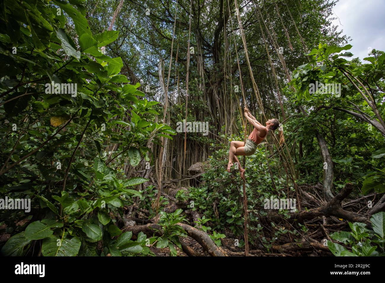 Giovane donna (Jane?) Altalena lungo una liana o una radice aerea di un gigantesco albero di banyan, l'isola di Alide, le Seychelles, l'Oceano Indiano Foto Stock