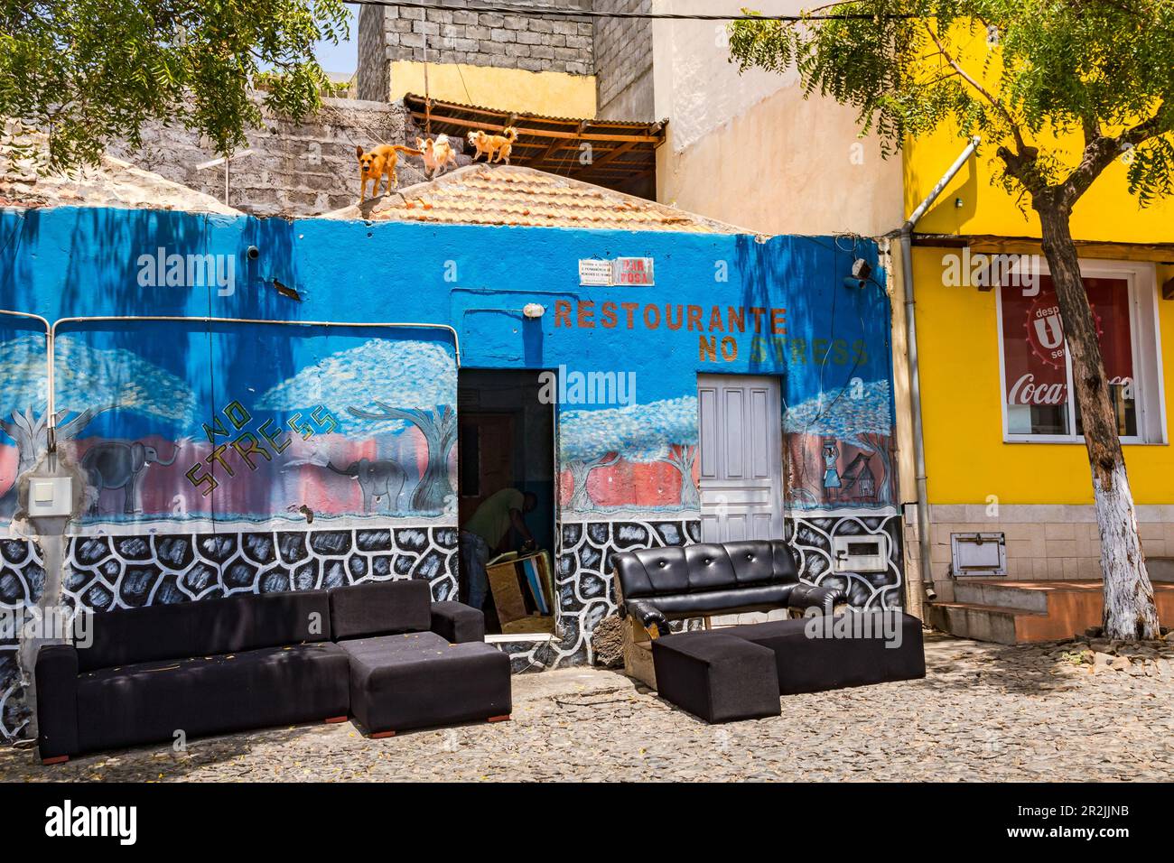 Il ristorante no stress a São Filipe con divano, poltrona e cani abbaiati sul tetto, isola di Fogo, Capo Verde Foto Stock