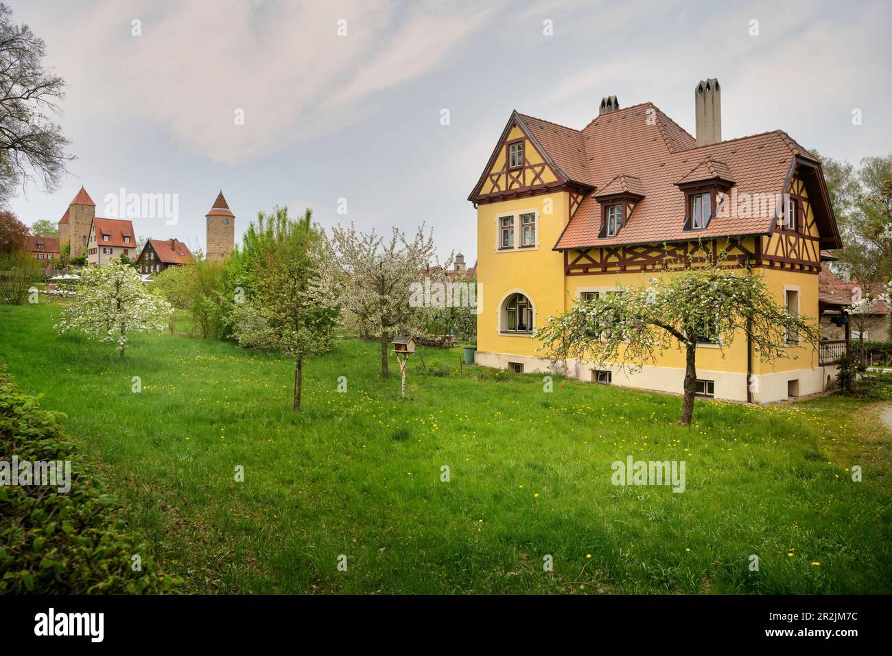 Casa gialla a graticcio e alberi da frutto fioriti, storico centro storico di Dinkelsbühl sul Wörnitz (fiume), strada romantica, quartiere Ansbach, Medio Foto Stock