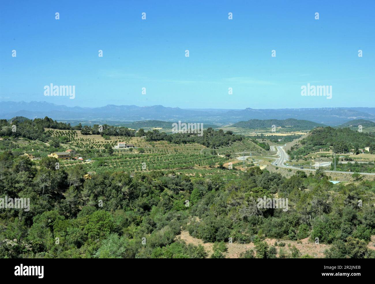 Vista panoramica dei vigneti della regione di Priorat, provincia di Tarragona, Catalogna, Spagna Foto Stock