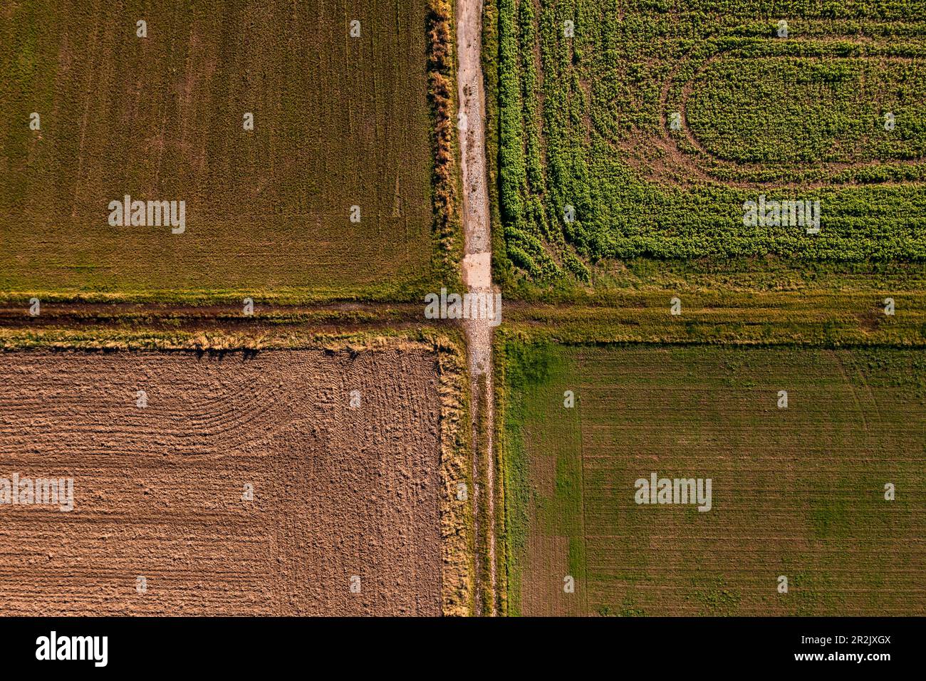 Una traversata di due corsie di campagna separa la terra arabile e i campi in Assia, Germania Foto Stock