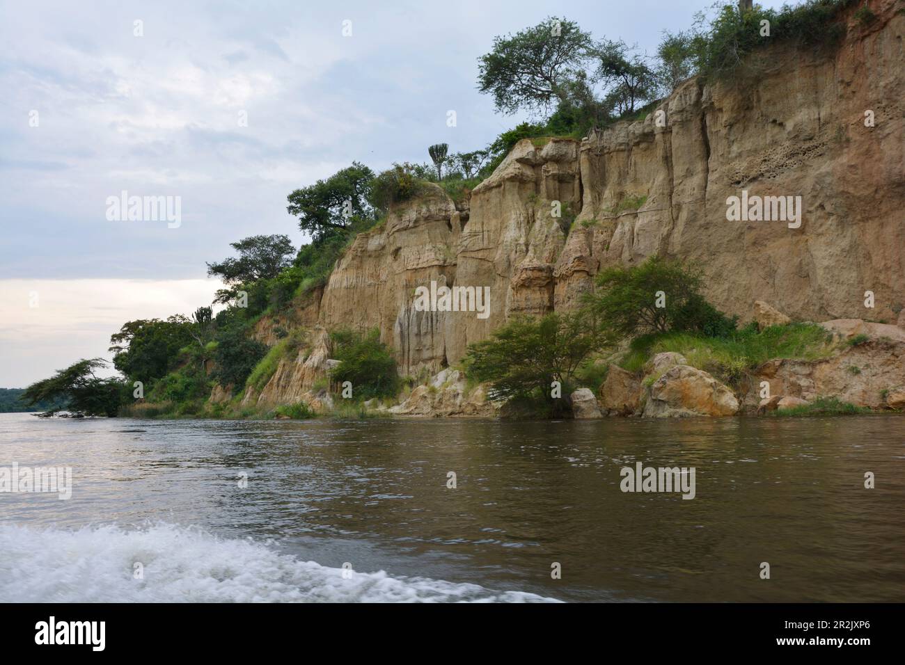 Uganda; Regione del Nord al confine con la Regione Occidentale; Parco Nazionale delle Cascate di Murchison; paesaggio Riverside sul Nilo Victoria; vegetazione verde Foto Stock