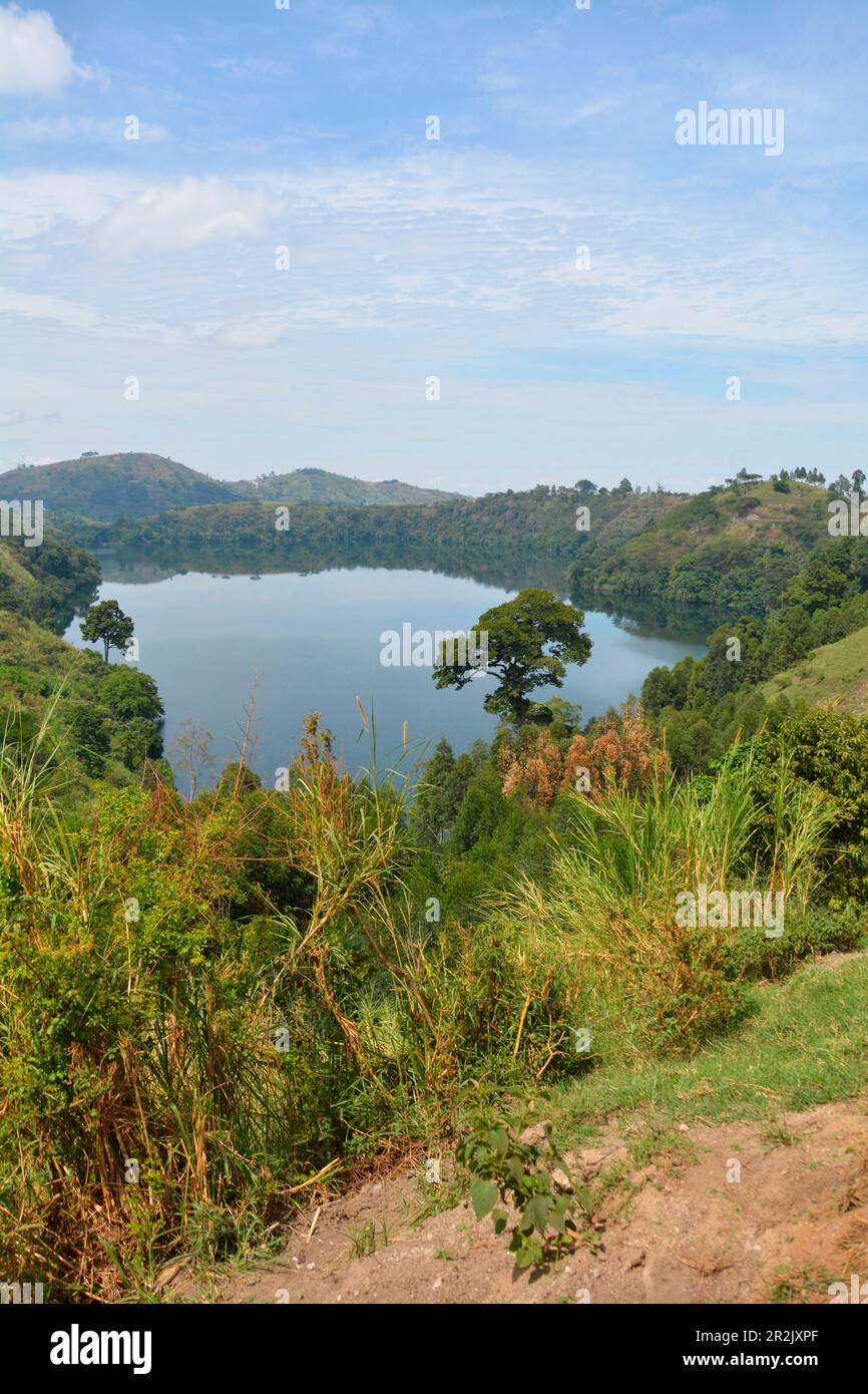 Uganda; Regione Occidentale; Parco Nazionale di Kibale; Lago del cratere di Nkuruba a sud di Fort Portal; parte del gruppo del cratere di Kasenda; raffigurato sul 20.000 Schil Foto Stock
