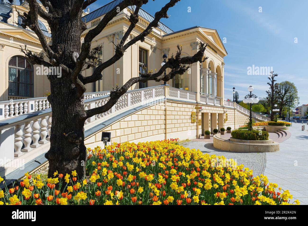 Flowerbed, Casinò, Baden vicino Vienna, bassa Austria, Austria Foto Stock
