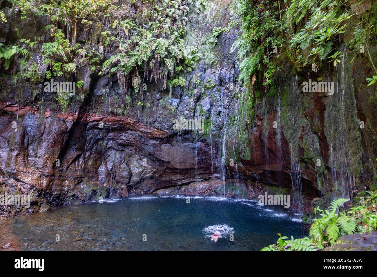 Levada das 25 Fontes, Rabacal, Spring pot, 25 sorgenti Foto Stock