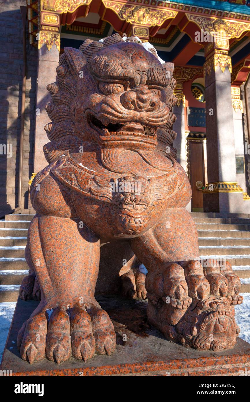 SAN PIETROBURGO, RUSSIA - 12 FEBBRAIO 2023: Primo piano della scultura del leone guardiano. Tempio buddista del Datsan Gunzechoyney Foto Stock