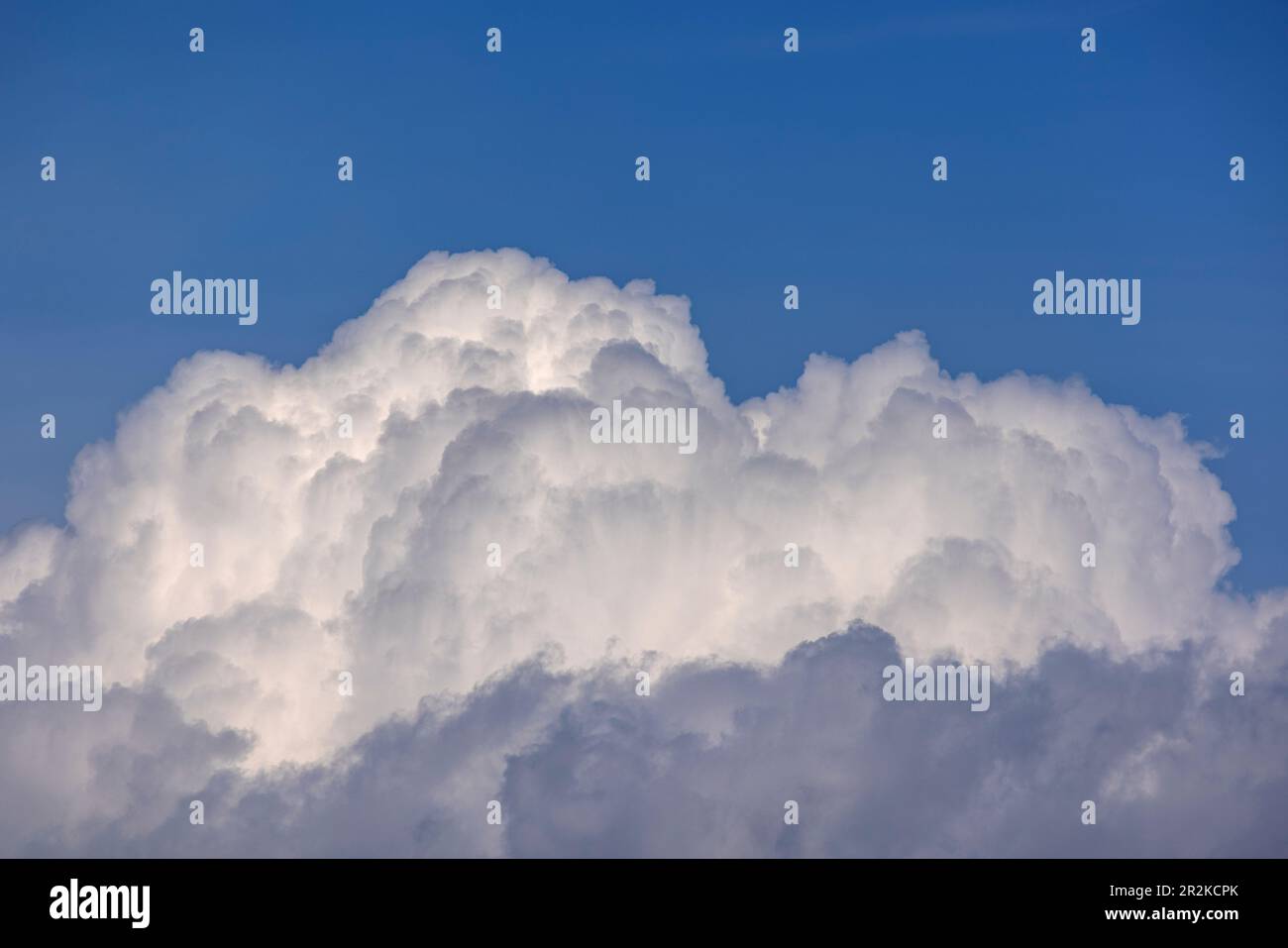 Cumulus nuvole contro un cielo blu Foto Stock