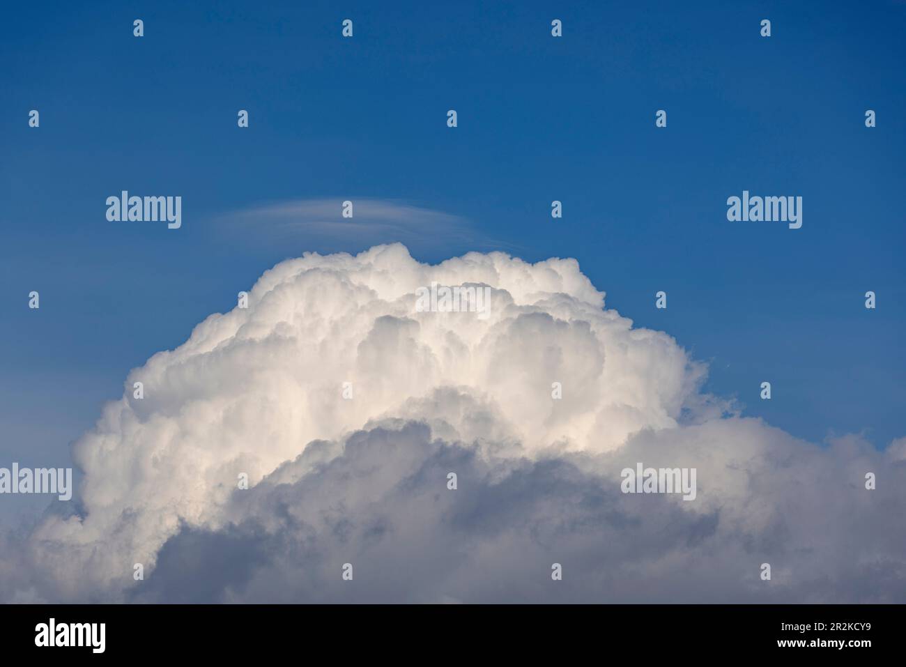 Cumulus nuvole contro un cielo blu Foto Stock