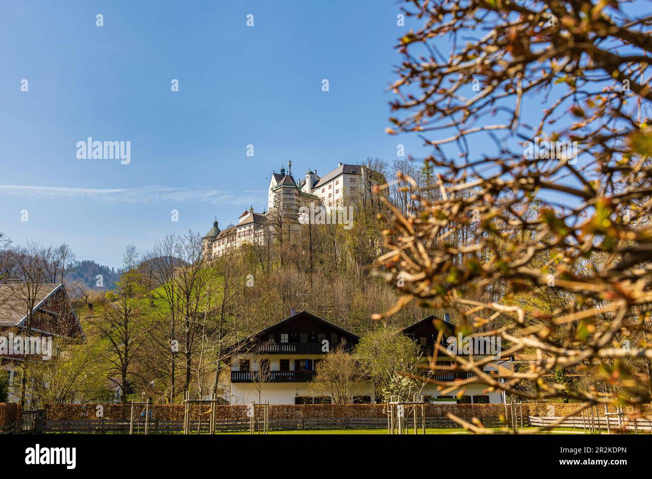 Vista sul castello di Hohenauschau dal basso. Primo piano fuori fuoco. Chiemgau, alta Baviera, Baviera, Germania Foto Stock
