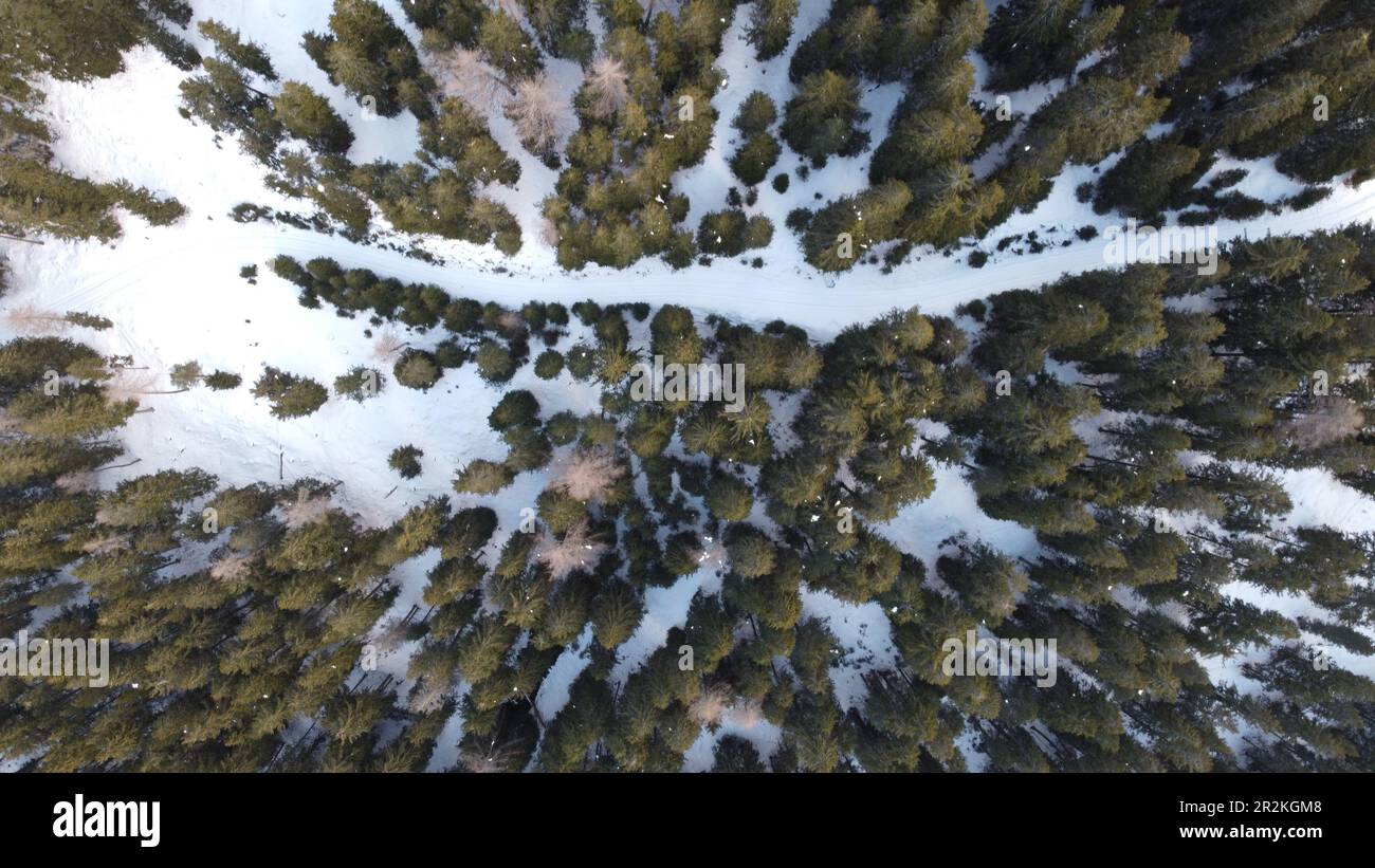 Luftbild einer atemberaubenden Landschaft. Die Bäume sind mit Schnee bedeckt und ein schmaler weg schlängelt sich zu den verschneiten Gipfeln Foto Stock