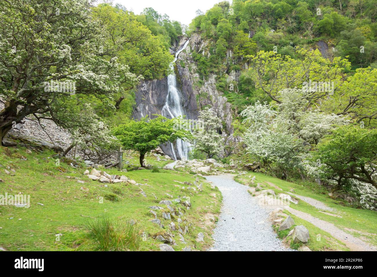 Cascate di Aber nel Parco Nazionale di Snowdonia, Galles settentrionale Foto Stock