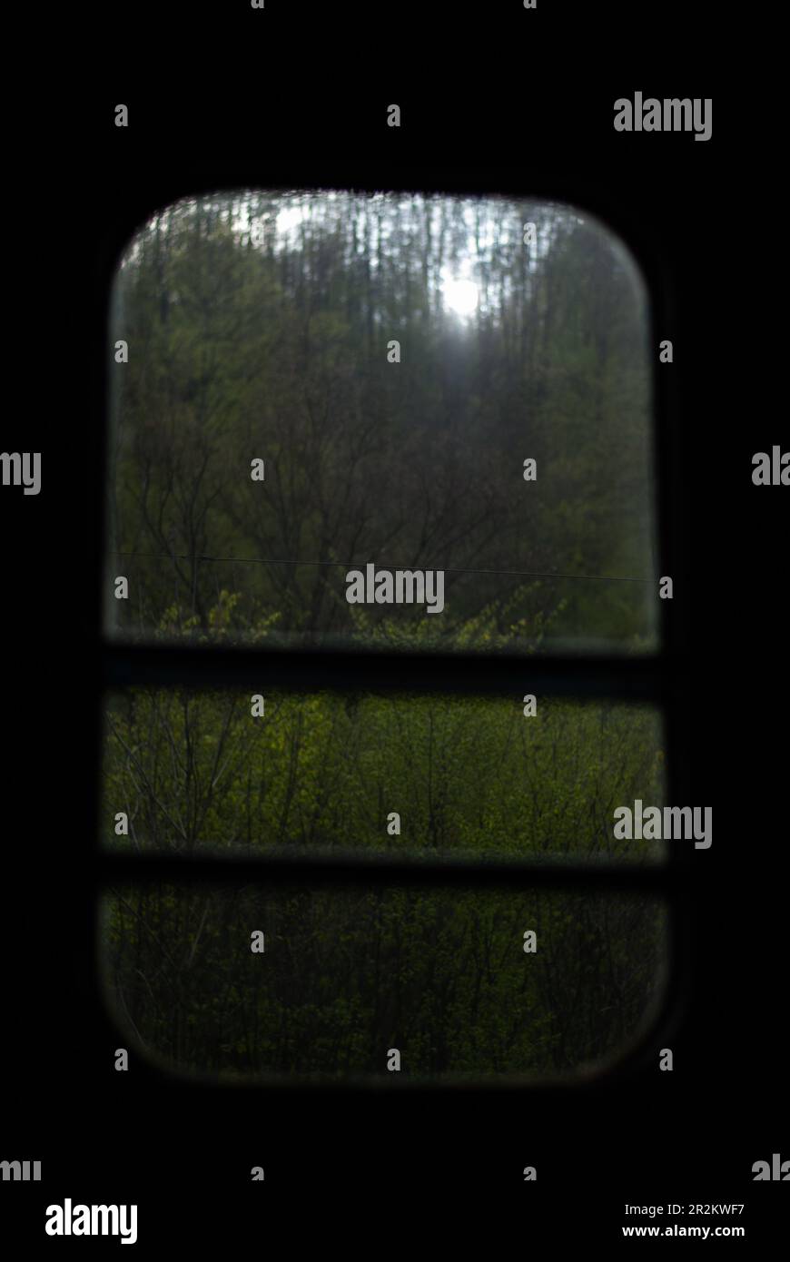 Vista sugli alberi verdi nella foresta attraverso la finestra del treno Foto Stock