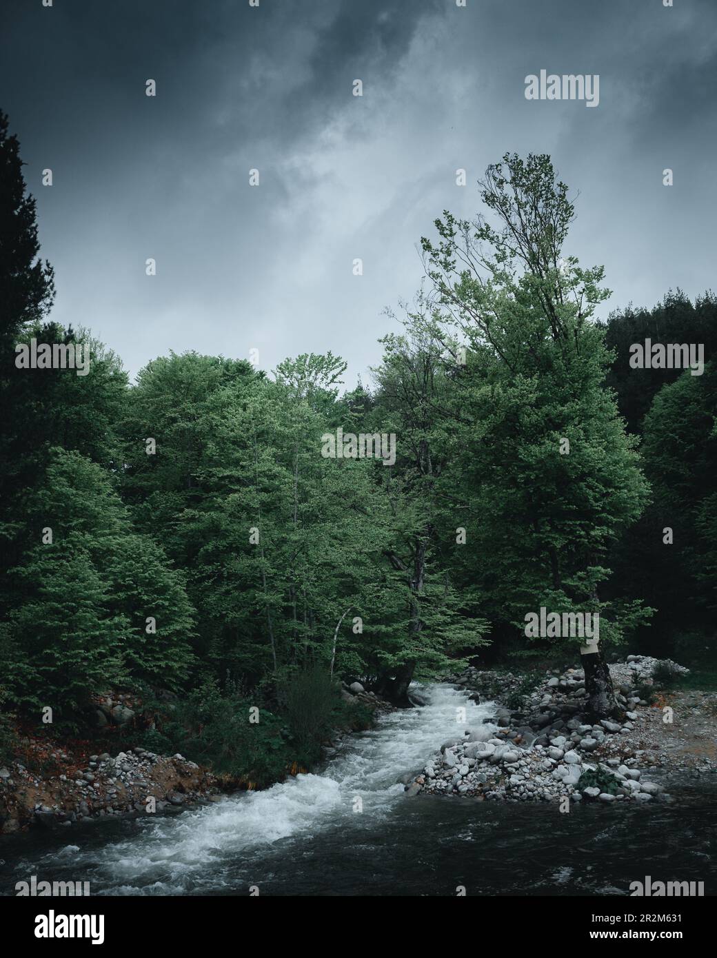 Un bel fiume nella foresta con un cielo scuro e lunoso. Foto Stock