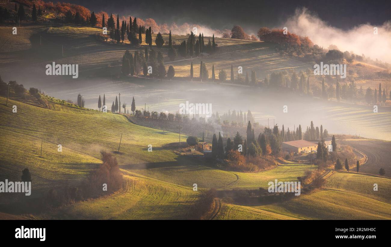 Mattina nebbia in Toscana. Un casale, una strada alberata e colline ondulate nella campagna nei pressi di Pienza, provincia di Siena, Italia. Foto Stock