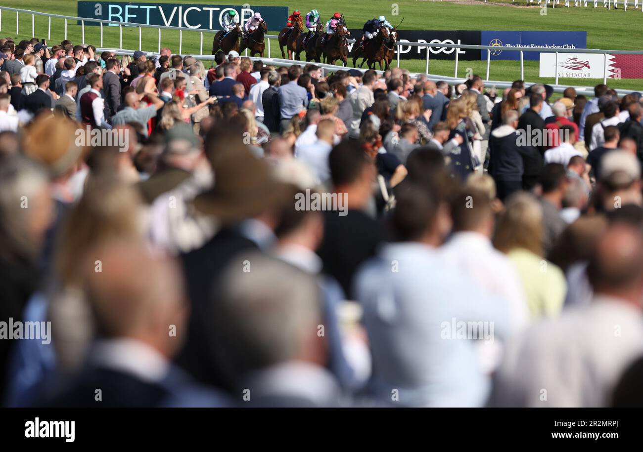 Corridori e cavalieri nel Trial Stakes di Haras De Bouquetot Fillies nel Lockinge Day di al Shaqab all'ippodromo di Newbury, Berkshire. Data immagine: Sabato 20 maggio 2023. Foto Stock