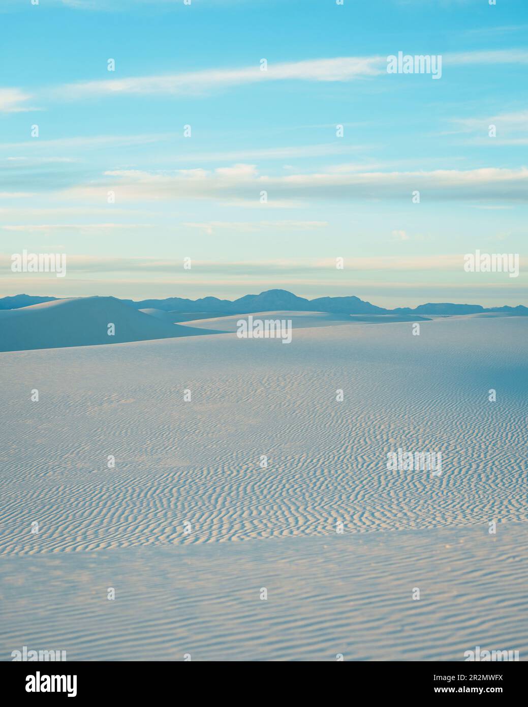 Dune di sabbia al White Sands National Park, New Mexico Foto Stock