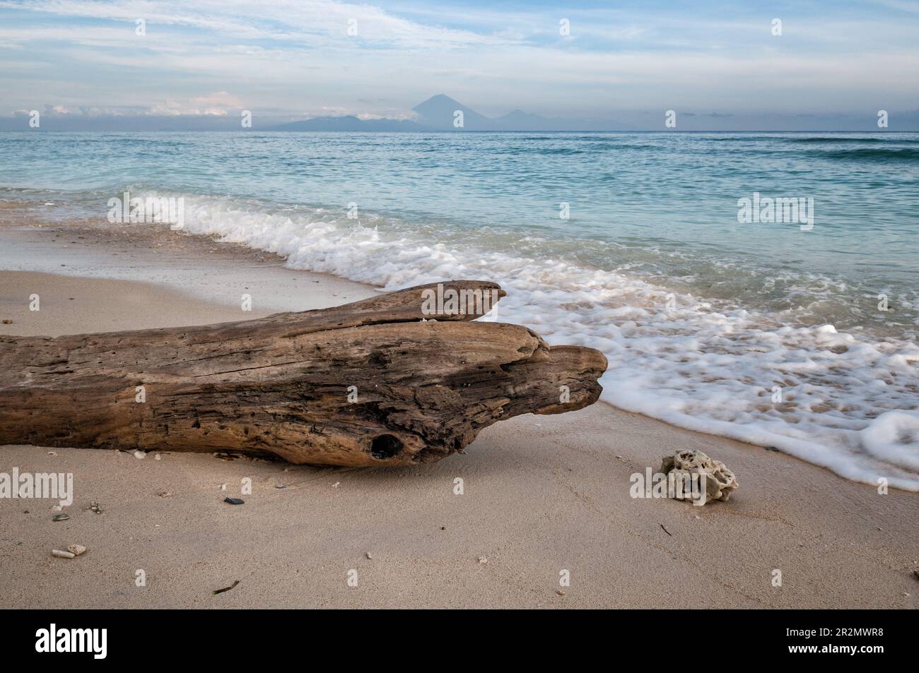Baule morto su una spiaggia a Gili Trawangan, Lombok, Indonesia Foto Stock