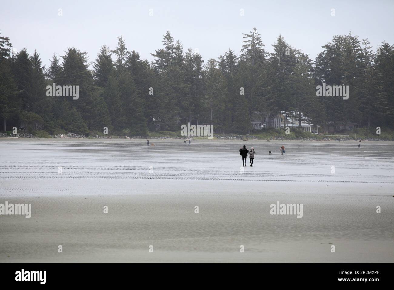 Chesterman Beach vicino a Tofino sull'isola di Vancouver Foto Stock