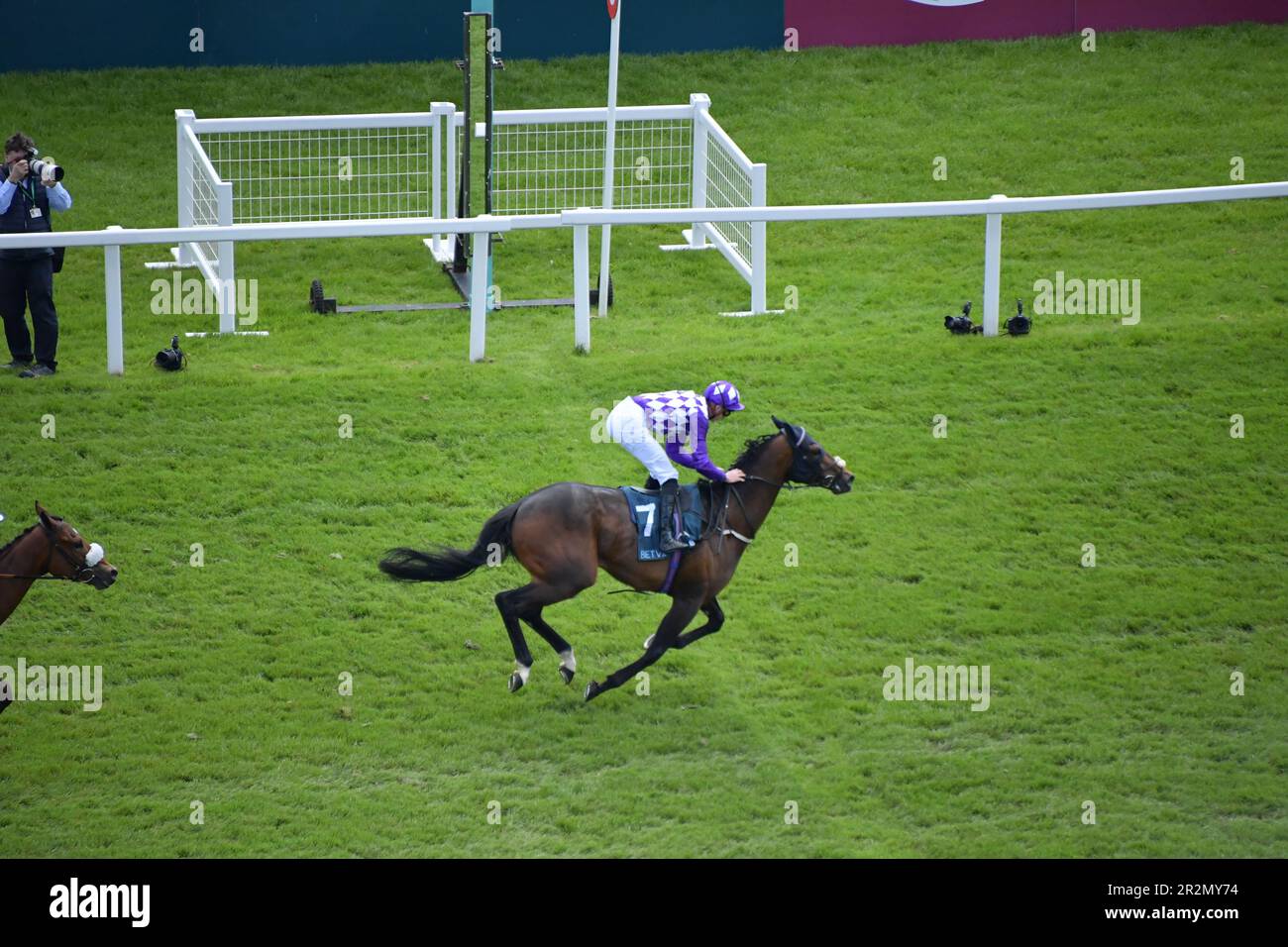 Newbury, Regno Unito. 20th maggio 2023. Shaquille, guidato da James Doyle (7), vince il BetVictor Carnarvon Stakes 13,50 all'ippodromo di Newbury, Regno Unito. Credit: Paul Blake/Alamy Live News. Foto Stock