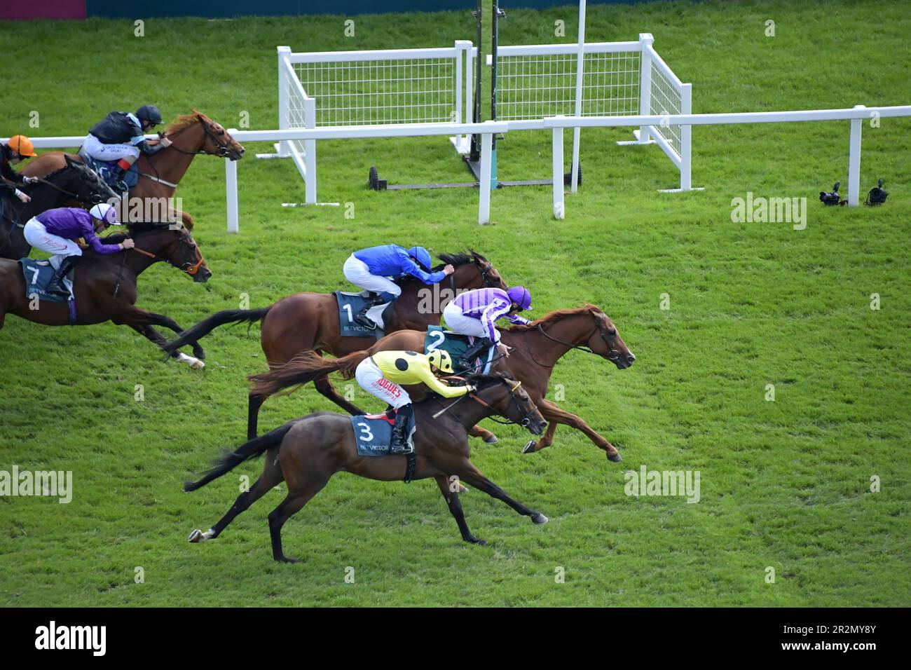 Newbury, Regno Unito. 20th maggio 2023. Bertinelli, guidato da Ryan Moore, vince la BetVictor London Gold Cup 15:00 all'ippodromo di Newbury, nel Regno Unito. Credit: Paul Blake/Alamy Live News. Foto Stock