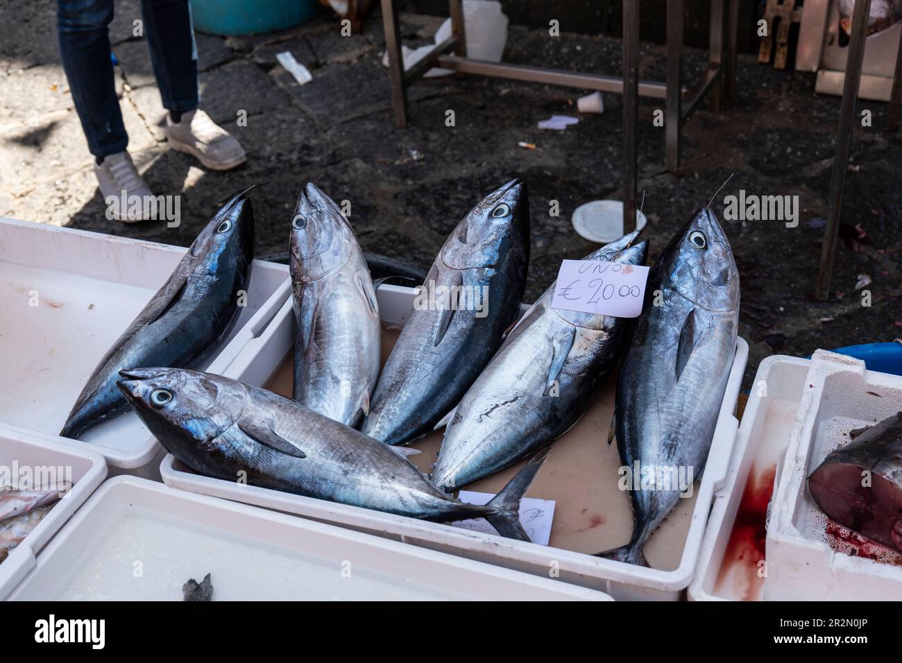 Primo piano dei pesci nel mercato ittico di Catania Foto Stock