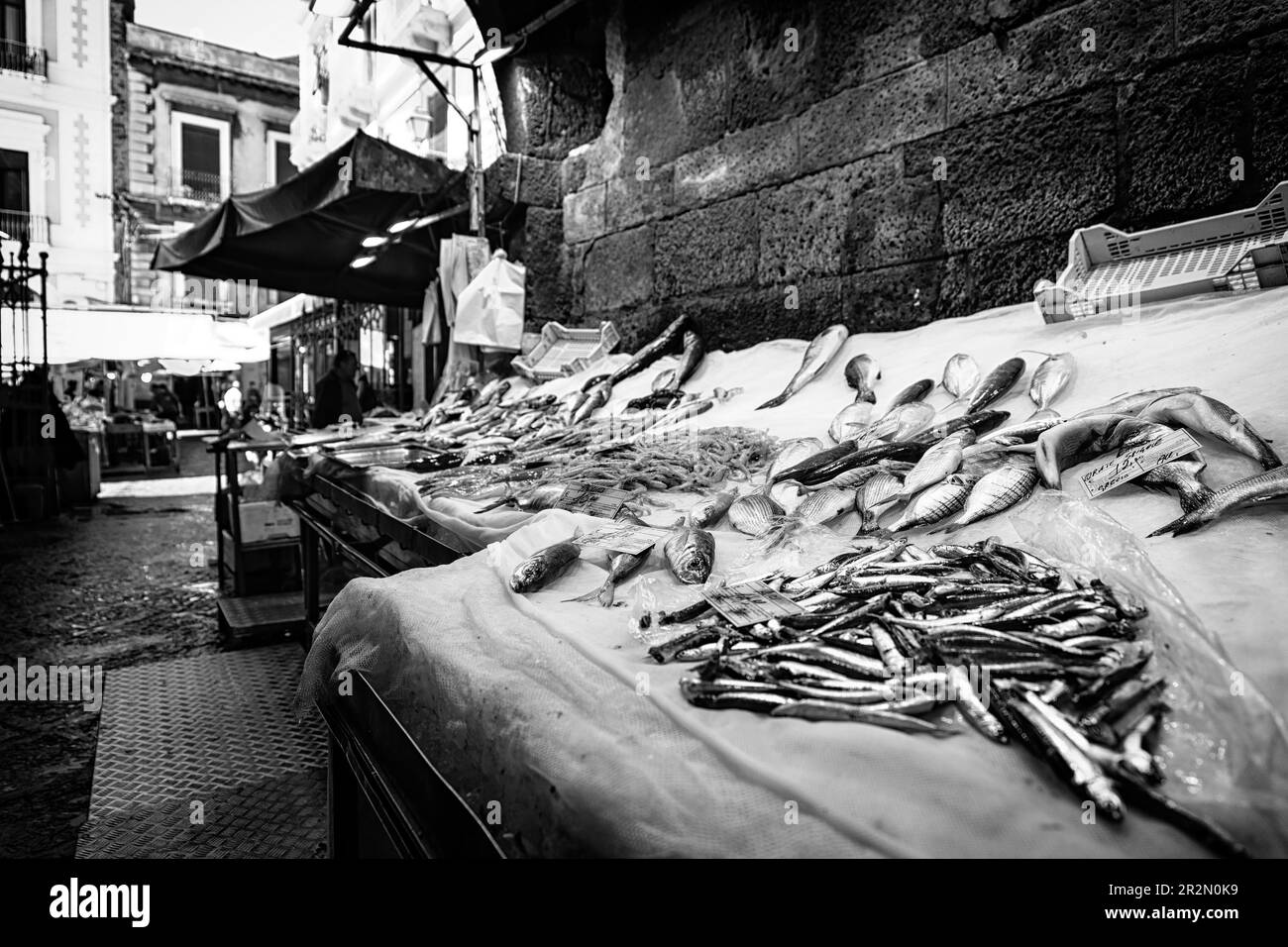 Primo piano dei pesci nel mercato ittico di Catania Foto Stock
