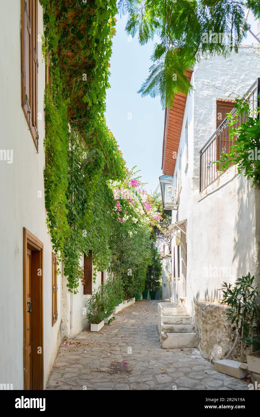 Strada stretta nella città vecchia europea in estate giorno di sole. Belle case bianche antiche e scenografiche, caffè e negozi con piante verdi. Popolare turistico v Foto Stock