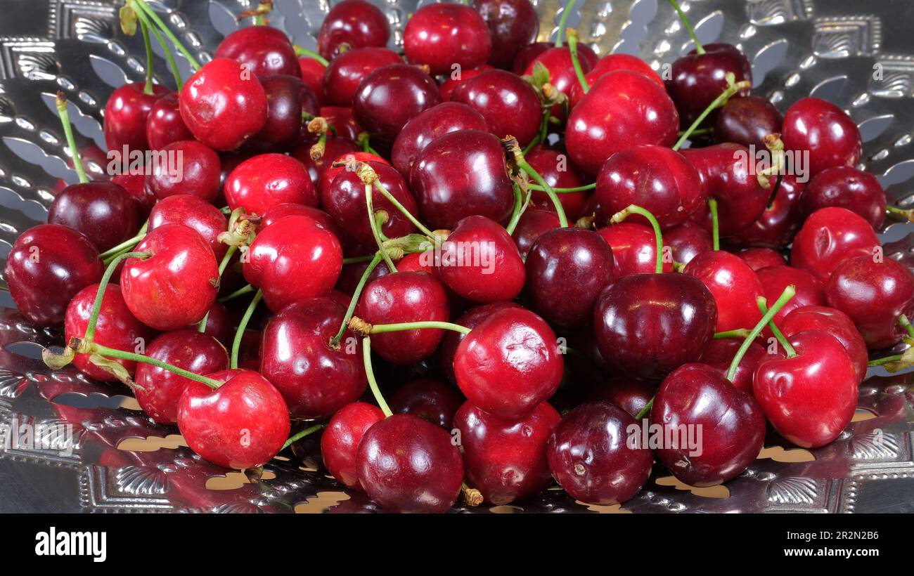 Piatto di ciliegie di prima stagione, buono e colorato Foto Stock