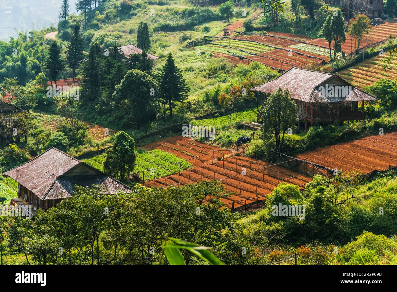 Agricoltura su piccola scala a Sapa nella provincia di Lao Cai nel Vietnam del nord-ovest Foto Stock