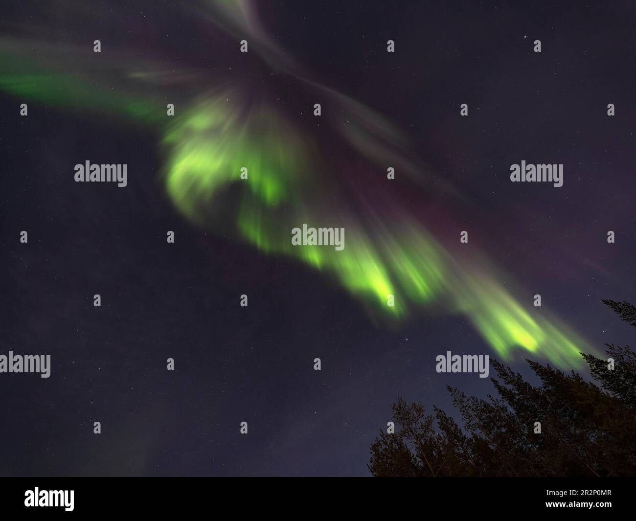Aurora boreale colorata con la costellazione del Grande Dipper e Polaris Foto Stock
