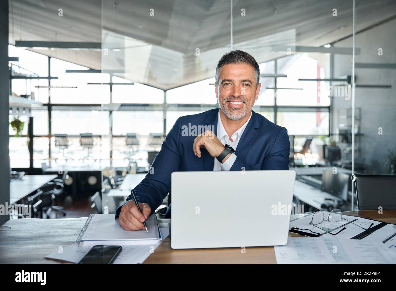 Felice uomo d'affari di mezza età che lavora su un notebook in un ufficio moderno, ritratto. Foto Stock